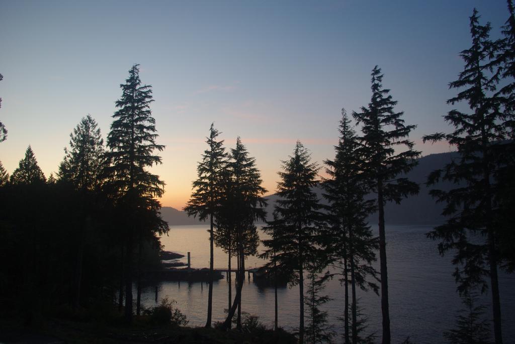 Wild Coast Chalets Port Renfrew Exterior foto